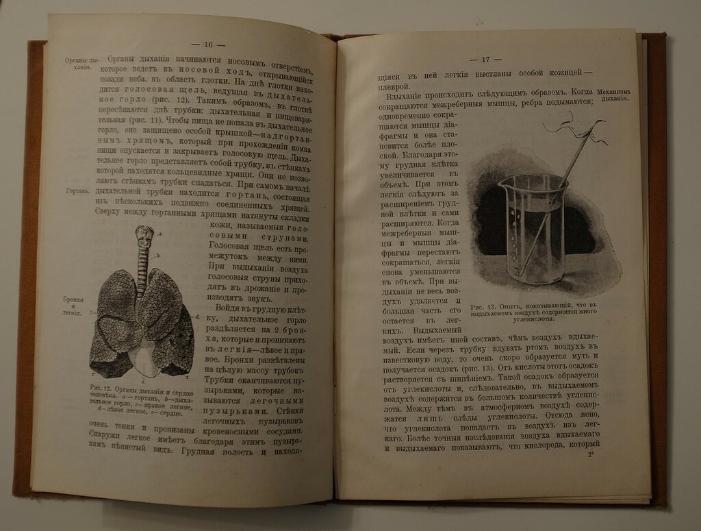Капелькин В. Краткий учебник природоведению. Часть III. Строение человеческого тела.
