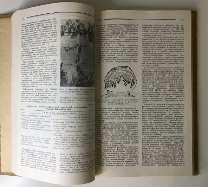 Садоводство, виноградство и виноделие Молдавии. №№ 1-12 1968г.