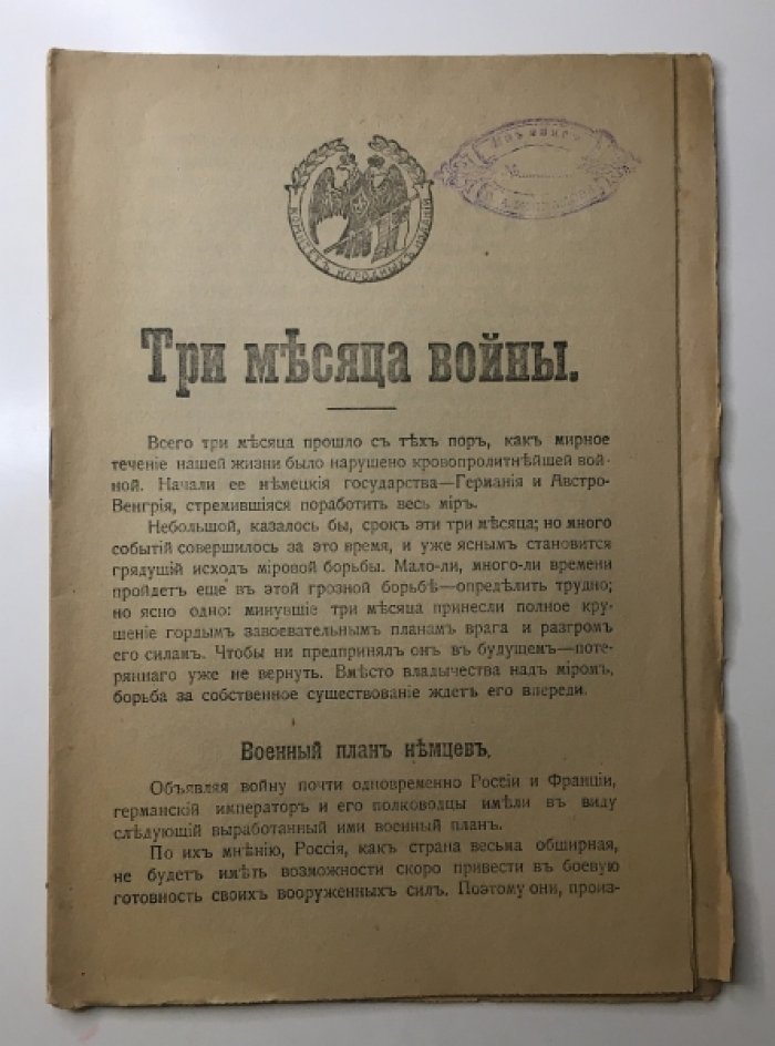 Плетнев, М. Три месяца войны.