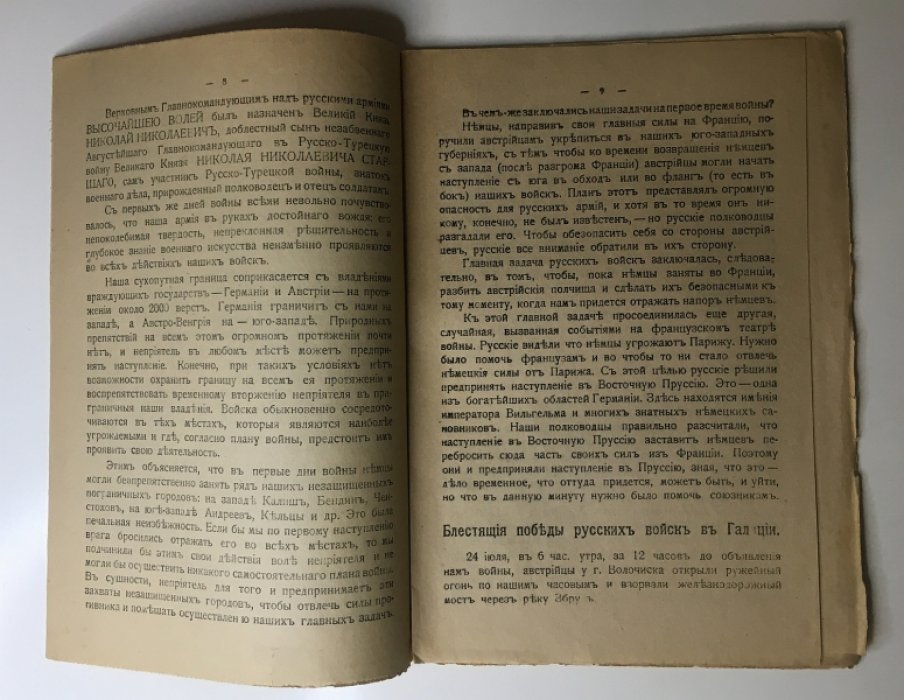 Плетнев, М. Три месяца войны.