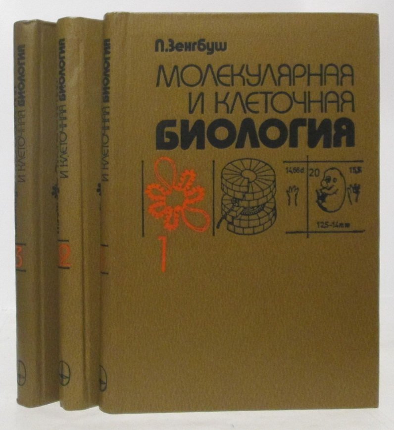 Зенгбуш П. Молекулярная и клеточная биология 3т.