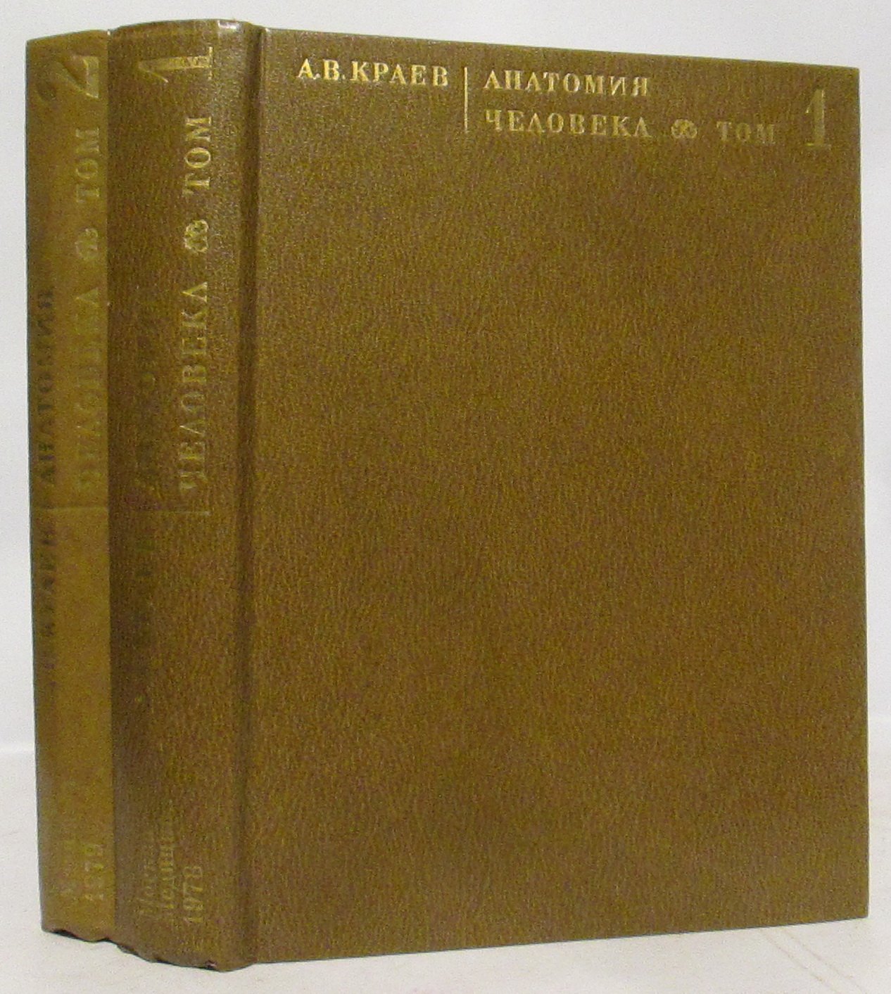 Краев А. В. Анатомия человека 2т.