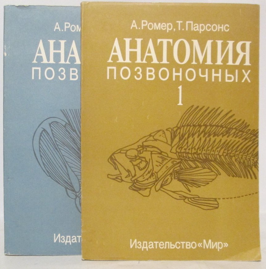 Ромер А. Ш. Анатомия позвоночных 2т.