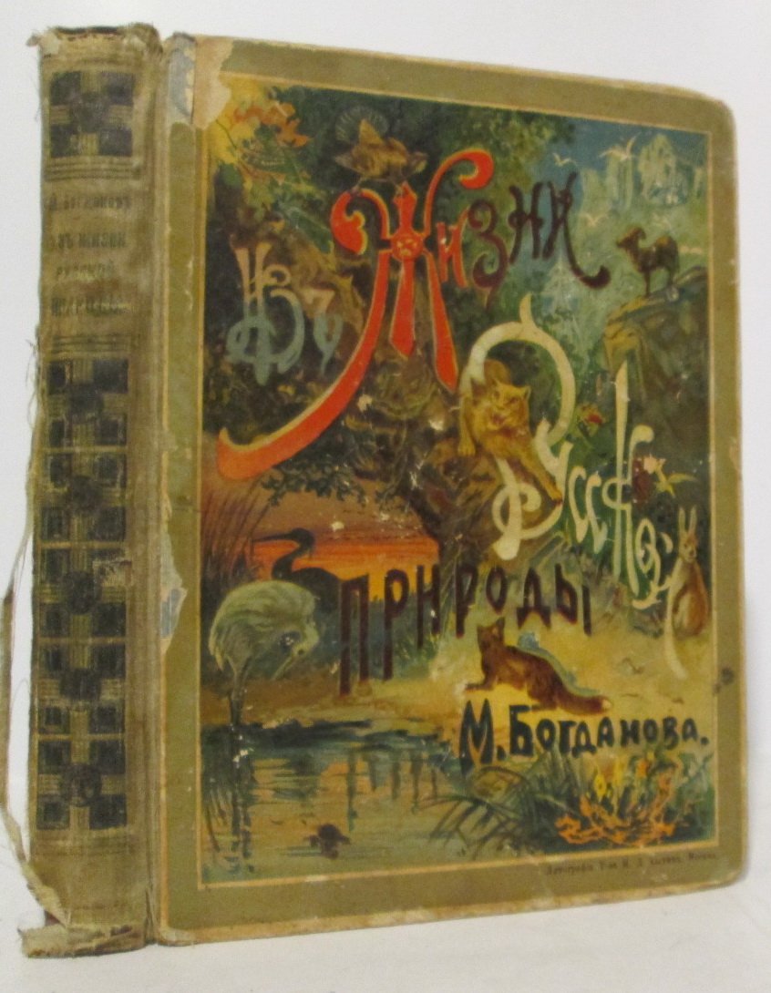 Богданов М. Н. Из жизни русской природы.