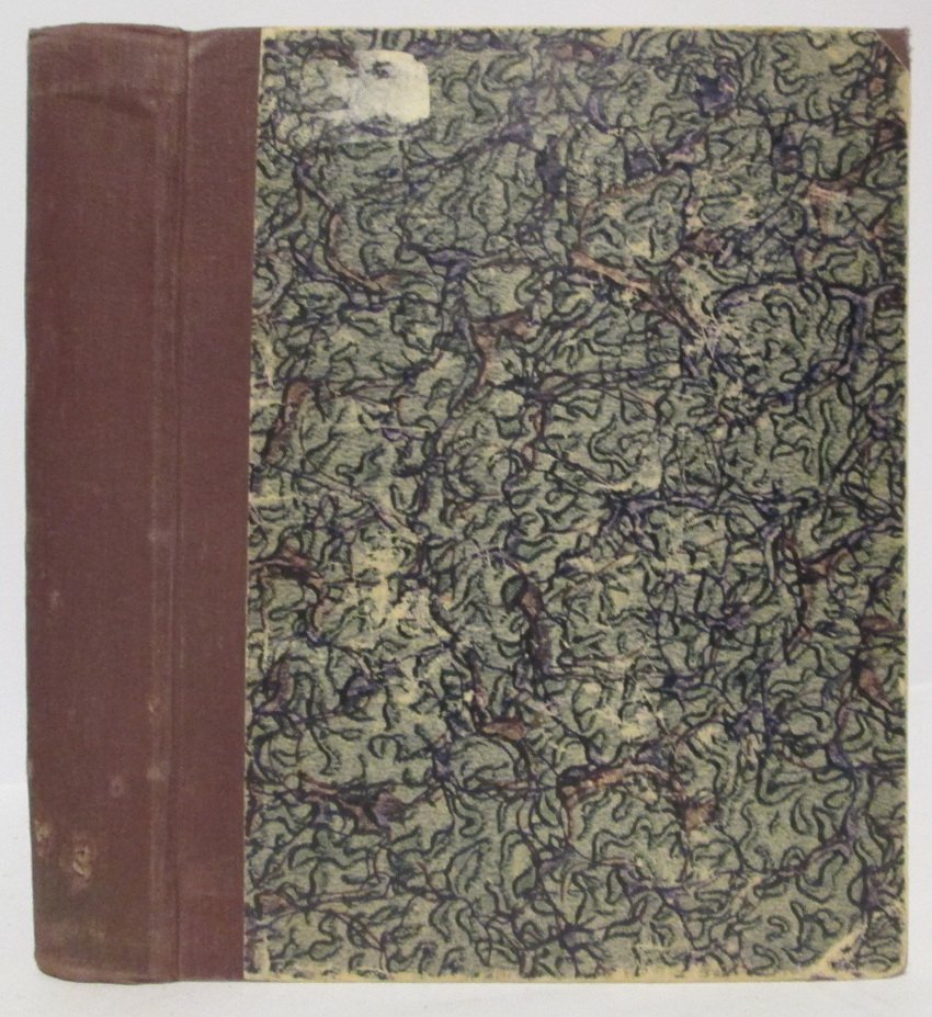 Минеев А. И. Остров Врангеля.