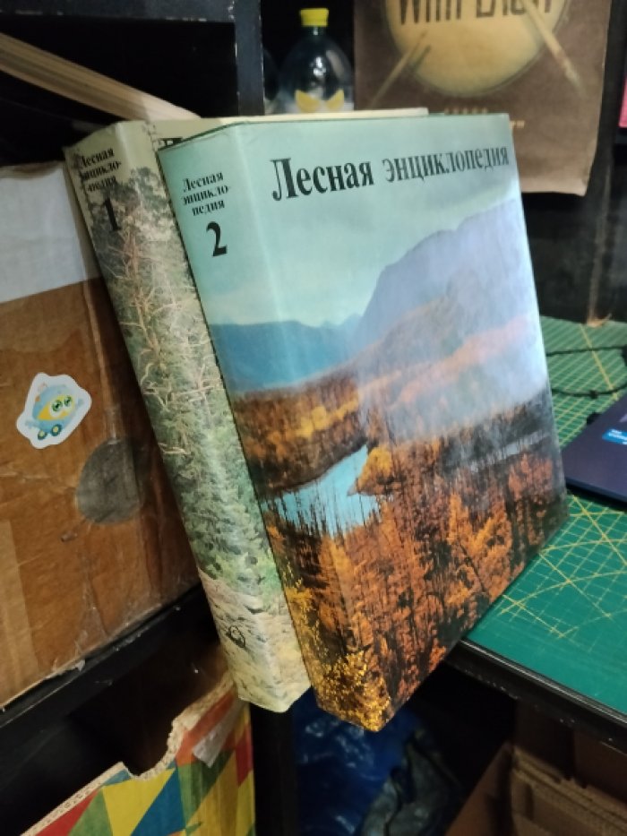 Лесная энциклопедия. В двух томах.