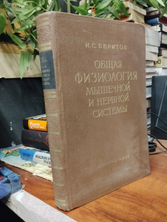 Беритов И. Общая физиология мышечной и нервной системы. Том I. Мышечная система. периферическая мышечная система (Соматическая и вегетативная).