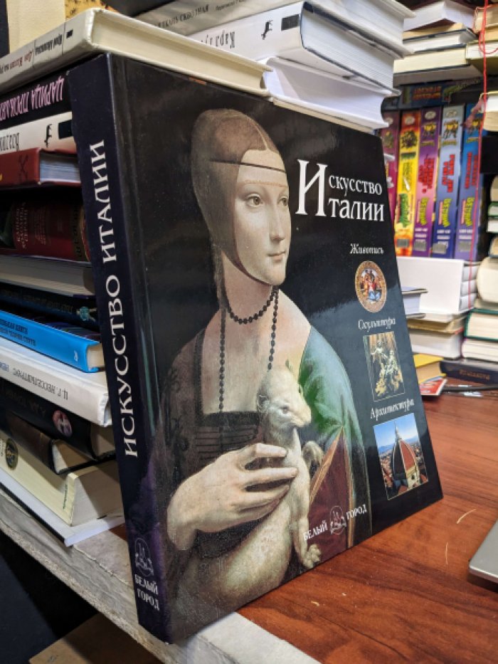 Рейке Маттиа, Буссальи Марко, Фосси Глория. Искусство Италии. Живопись. Скульптура. Архитектура. X-XX веков.
