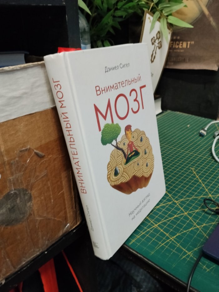 Сигел Дэниел. Внимательный мозг.