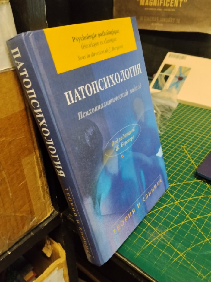Патопсихология. Психоаналитический подход. Теория и клиника.