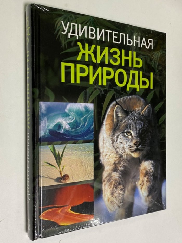 Альбуи Винсент, Дане Фредерик, Буске Жан-Клод. Удивительная жизнь природы.