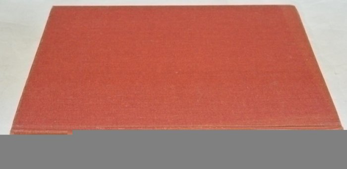 Русский архив: Великая Отечественная война.СССР и Польша.Т.14(3-1).