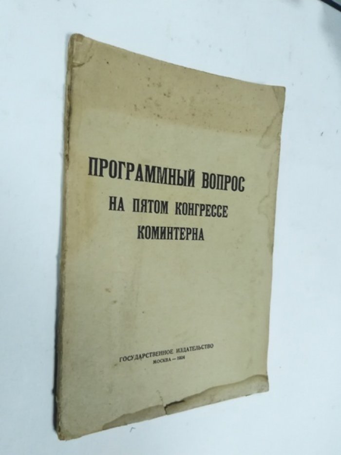Программный вопрос на пятом конгрессе коминтерна.