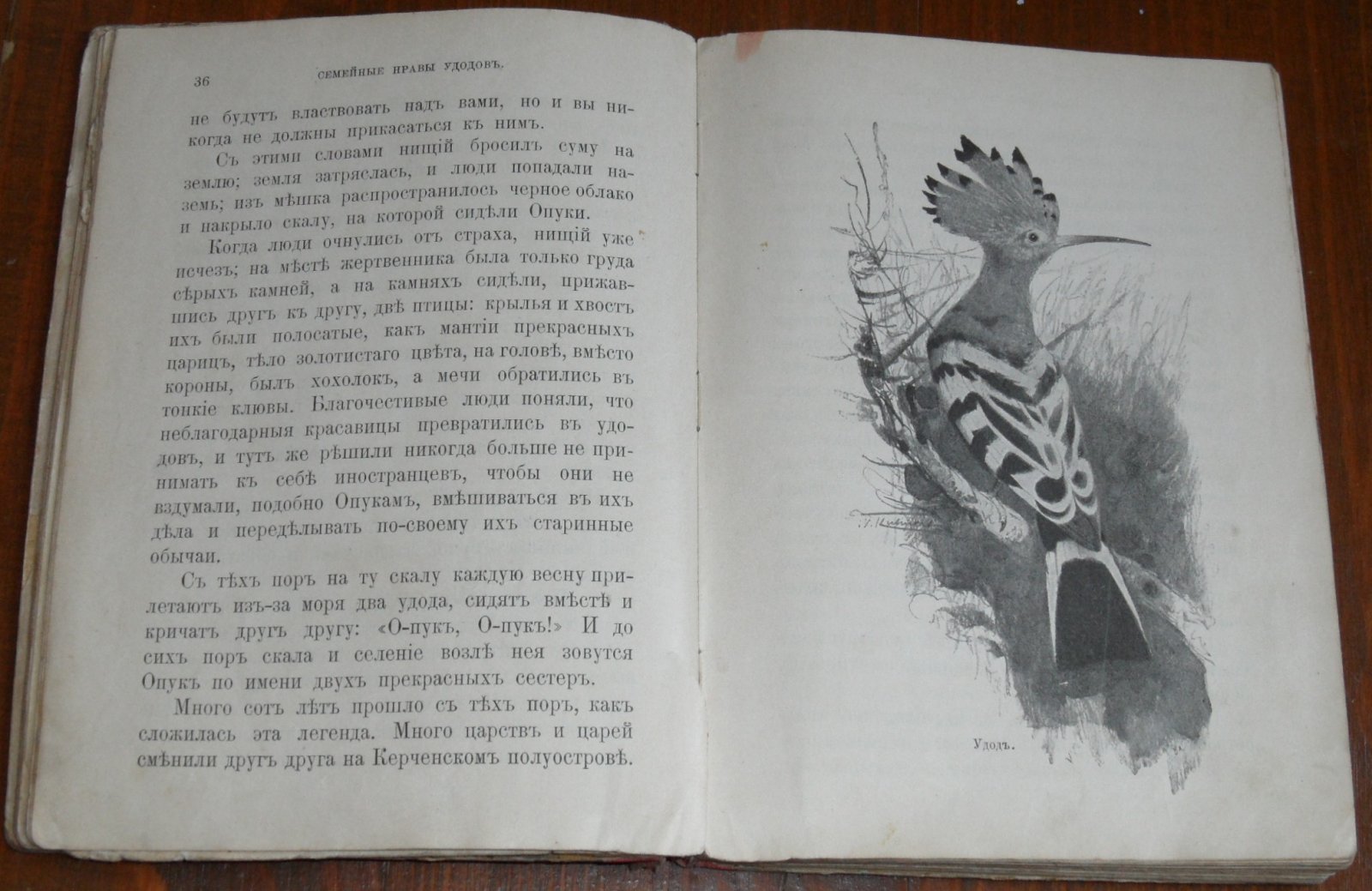 Каракаш Н. Наши друзья и враги. Зоологические рассказы для детей Надежды Каракаш с 37-ю рисунками в тексте.