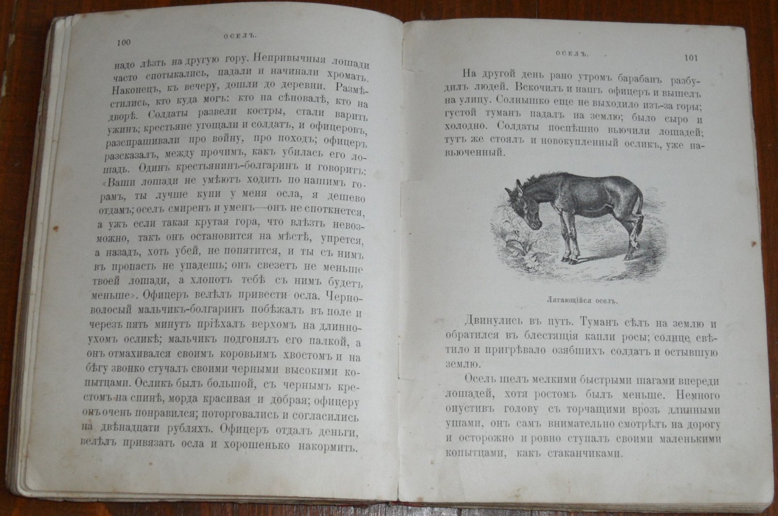 Каракаш Н. Наши друзья и враги. Зоологические рассказы для детей Надежды Каракаш с 37-ю рисунками в тексте.