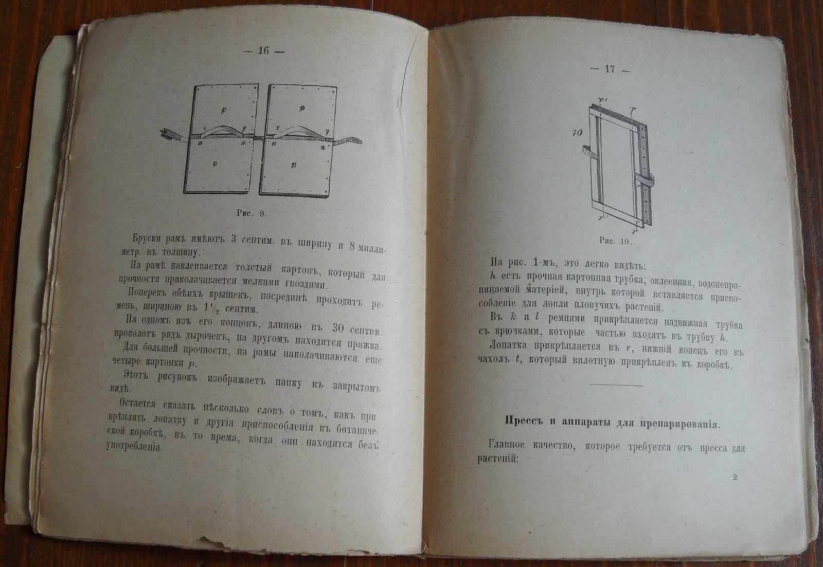 Гербариум. Собирание и засушивание цветов и растений.