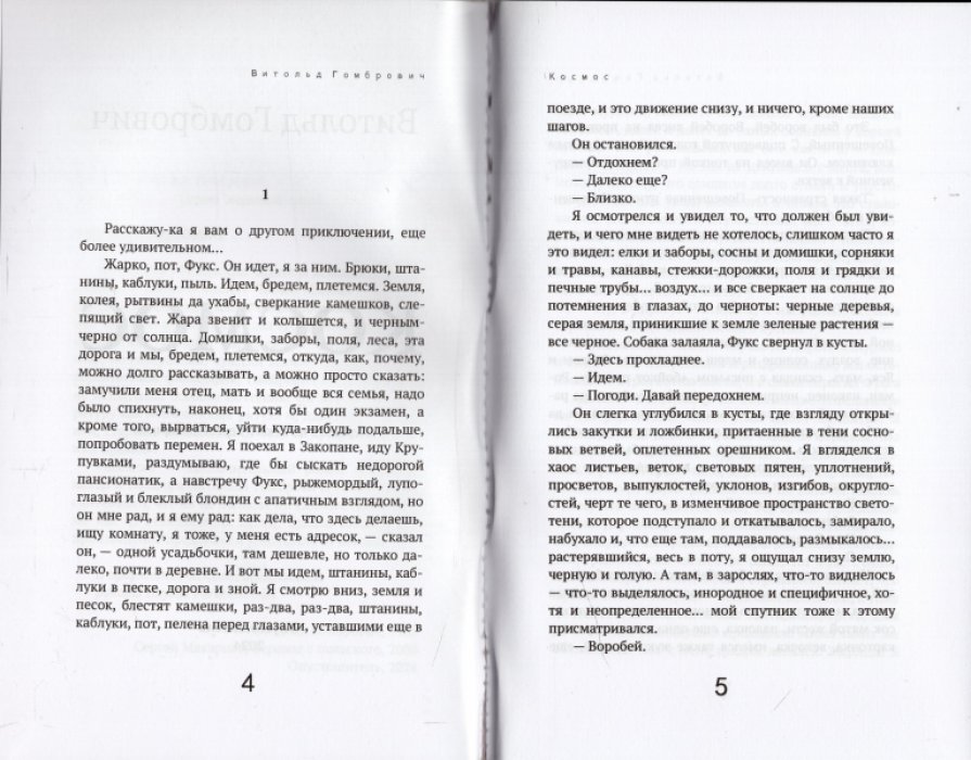 Гомбрович Витольд. Космос.