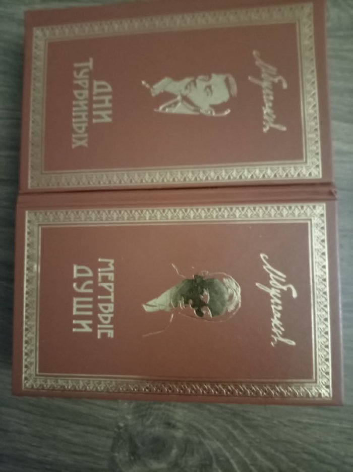 Булгаков Михаил. Дни Турбиных: Пьесы.