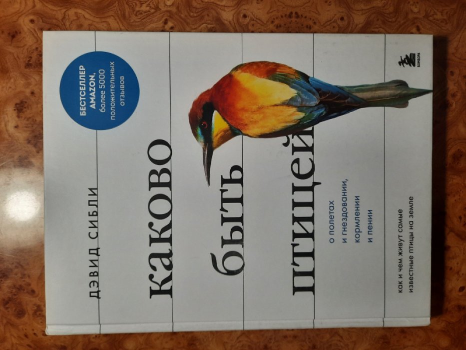 Сибли Д.А. Каково быть птицей: о полетах и гнездовании, кормлении и пении. Как и чем живут самые известные птицы на Земле.