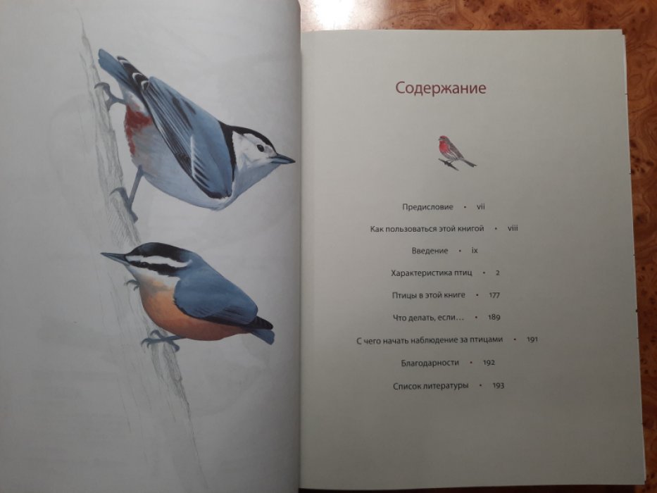 Сибли Д.А. Каково быть птицей: о полетах и гнездовании, кормлении и пении. Как и чем живут самые известные птицы на Земле.