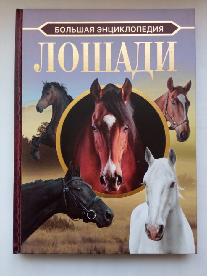Анна Спектор. Большая энциклопедия. Лошади.