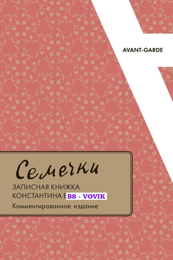 Семечки: Записная книжка Константина Вагинова.