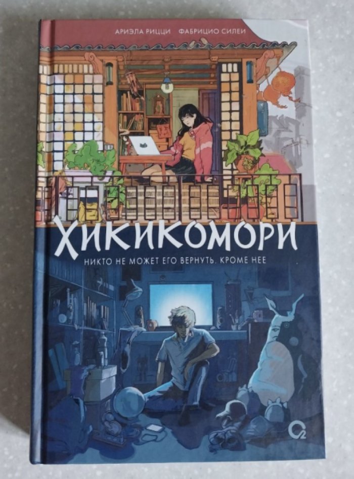 Рицци Ариэла, Силеи Фабрицио. Хикикомори.