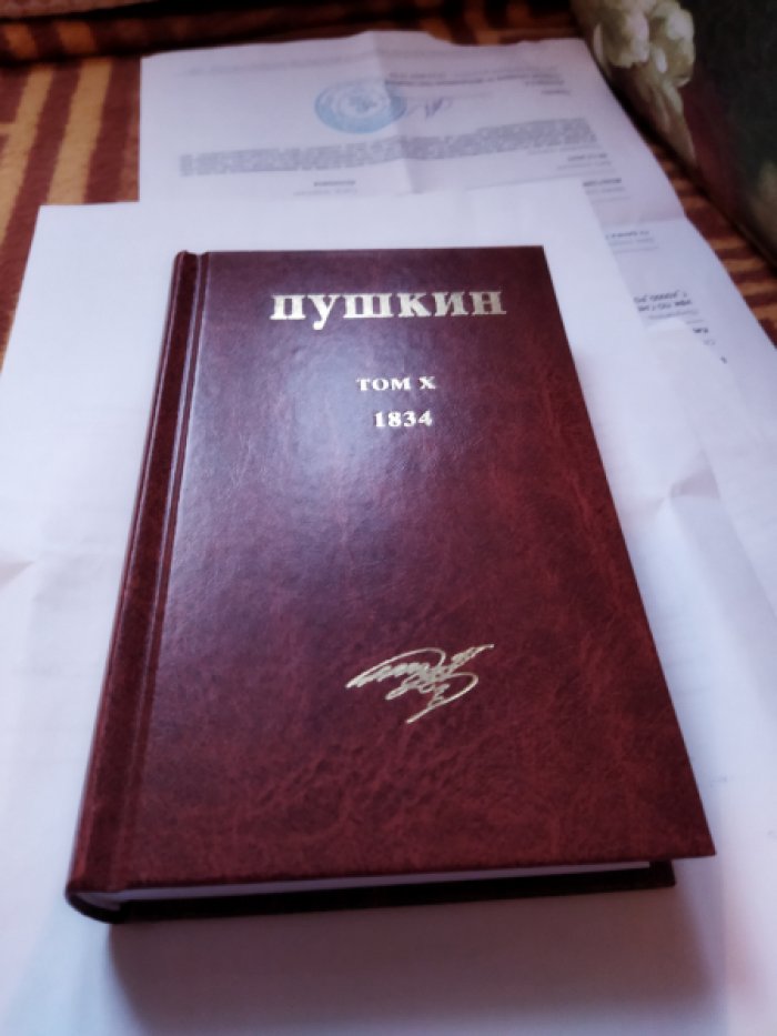 Пушкин А.С. Собрание сочинений. Художественные произведения, критические и публицистические труды, письма, рисунки, пометы и деловые бумаги, размещенные в хронологическом порядке. Том X. 1834.