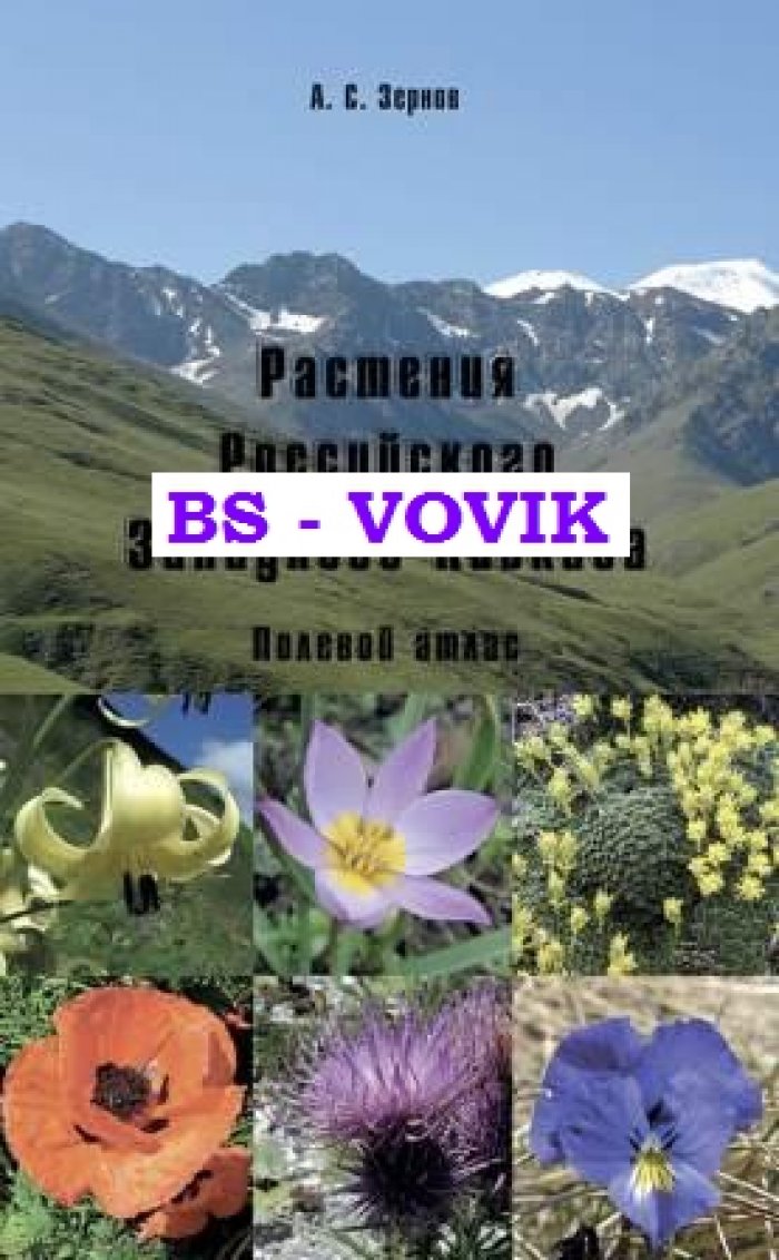 Зернов А.С. Растения Российского Западного Кавказа: Полевой атлас.