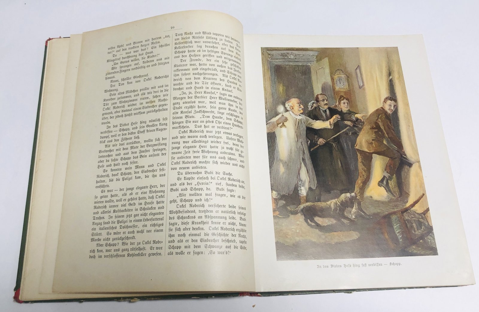 Frida Schanz. Kinderlust. Ein Jahrbuch fr Knaben und Mdchen von acht bis zwlf Jhren. XVI