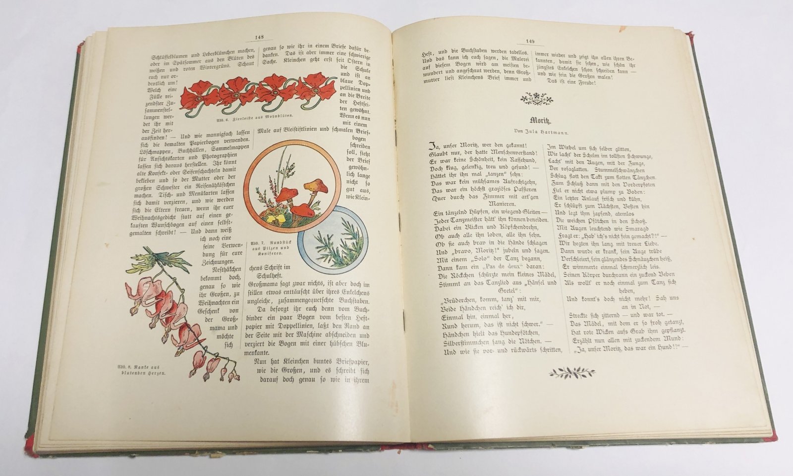 Frida Schanz. Kinderlust. Ein Jahrbuch fr Knaben und Mdchen von acht bis zwlf Jhren. XVI