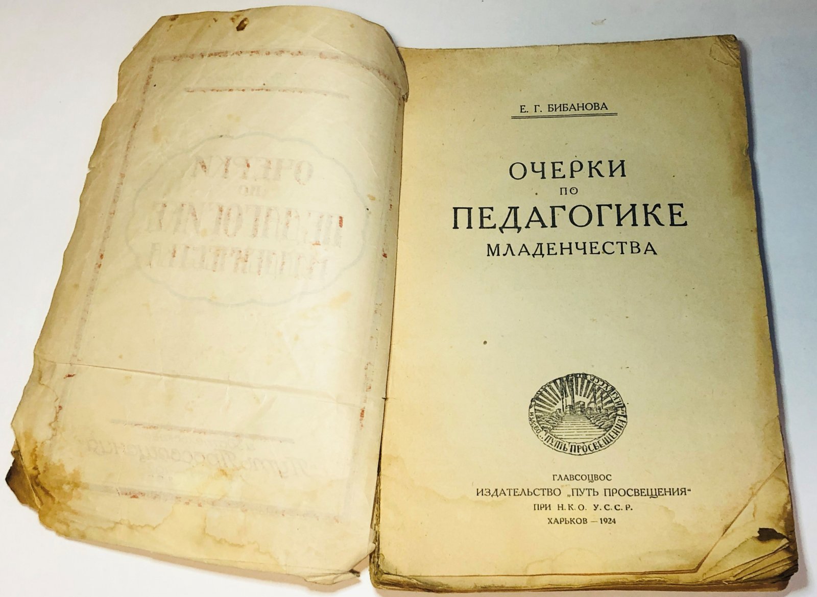 Бибанова Е.Г. Очерки по педагогике младенчества.