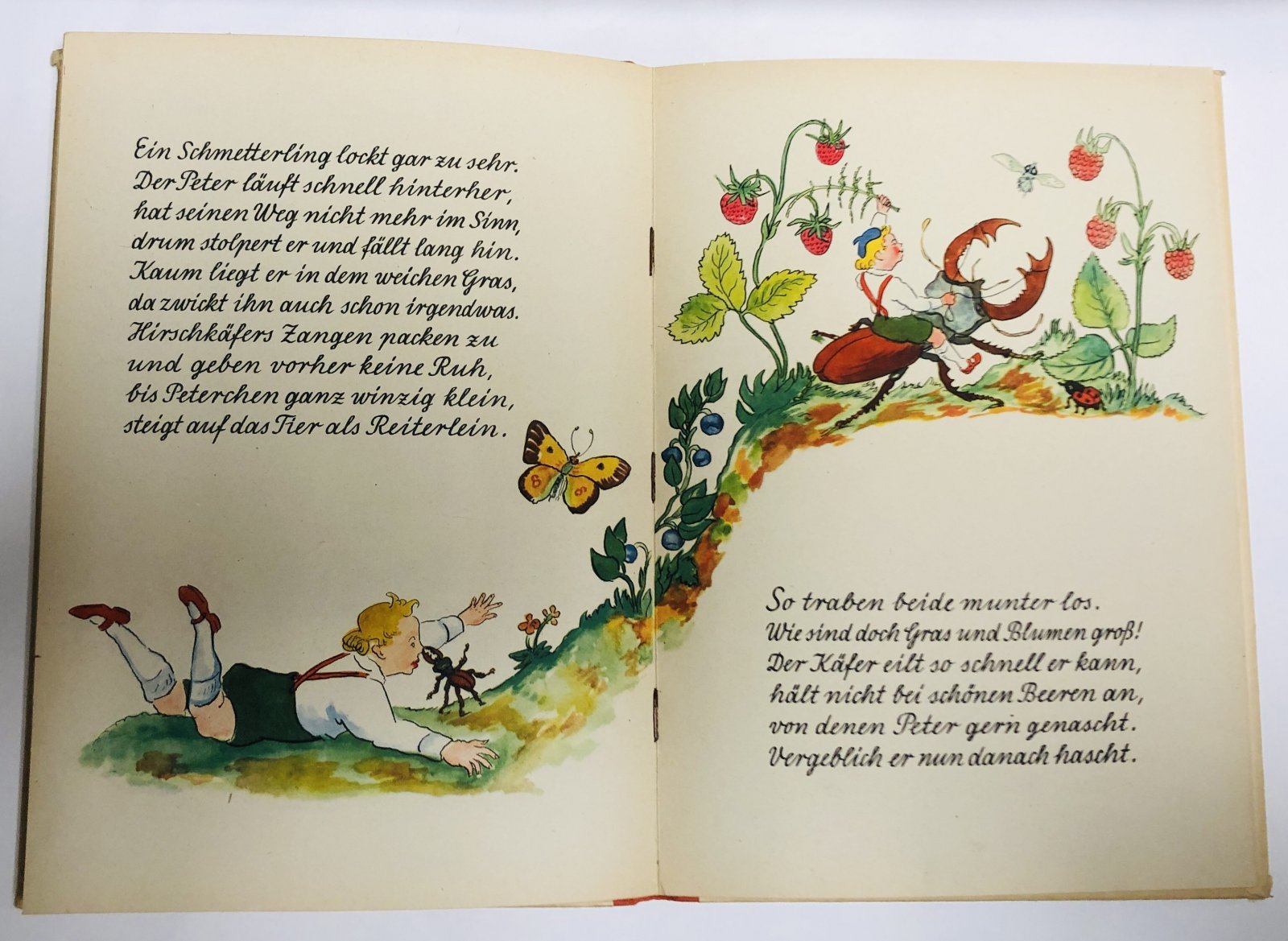 Georg Netzband. Peterchen im Walde. Ein buntes Bilderbuch.