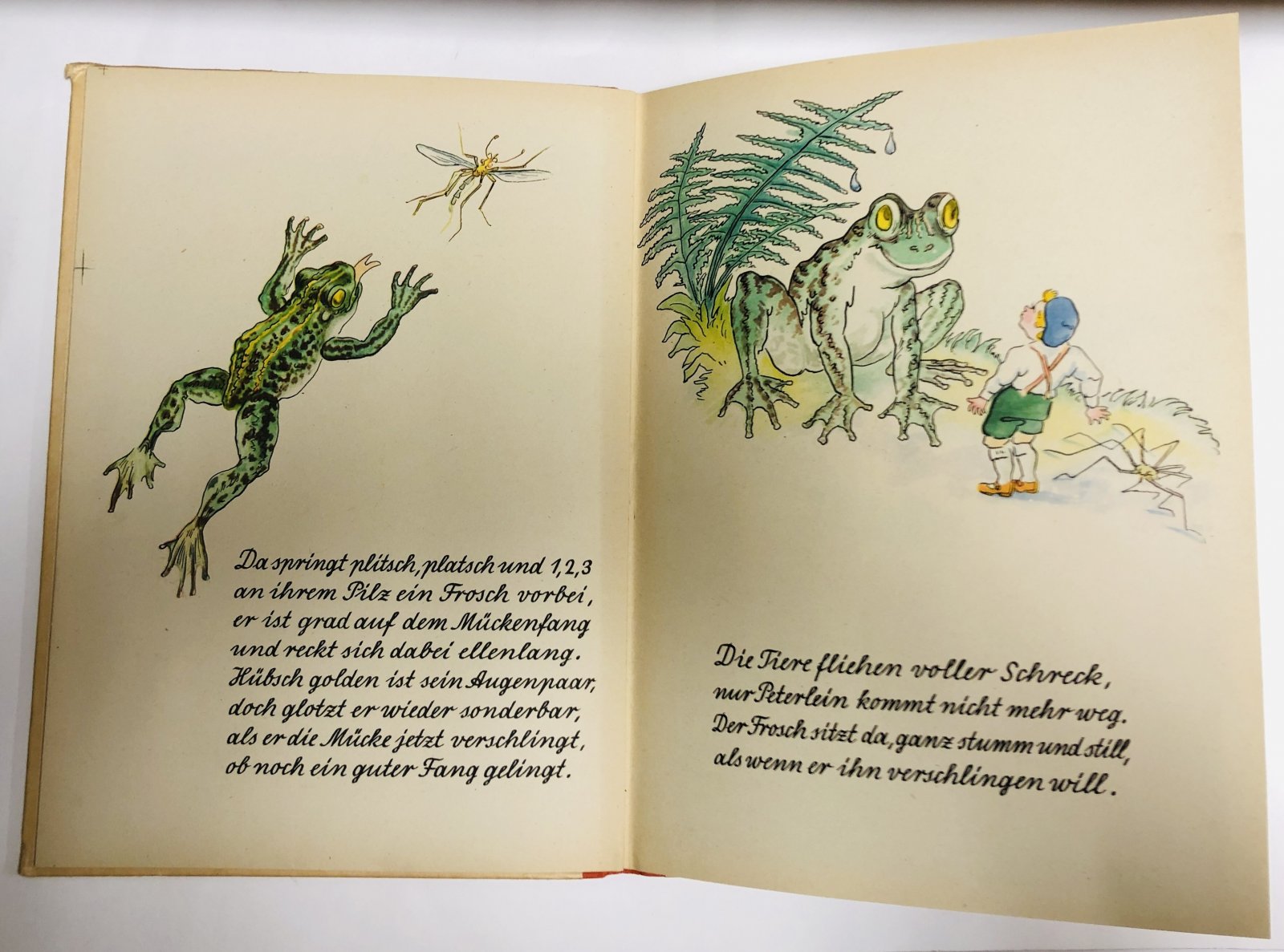 Georg Netzband. Peterchen im Walde. Ein buntes Bilderbuch.