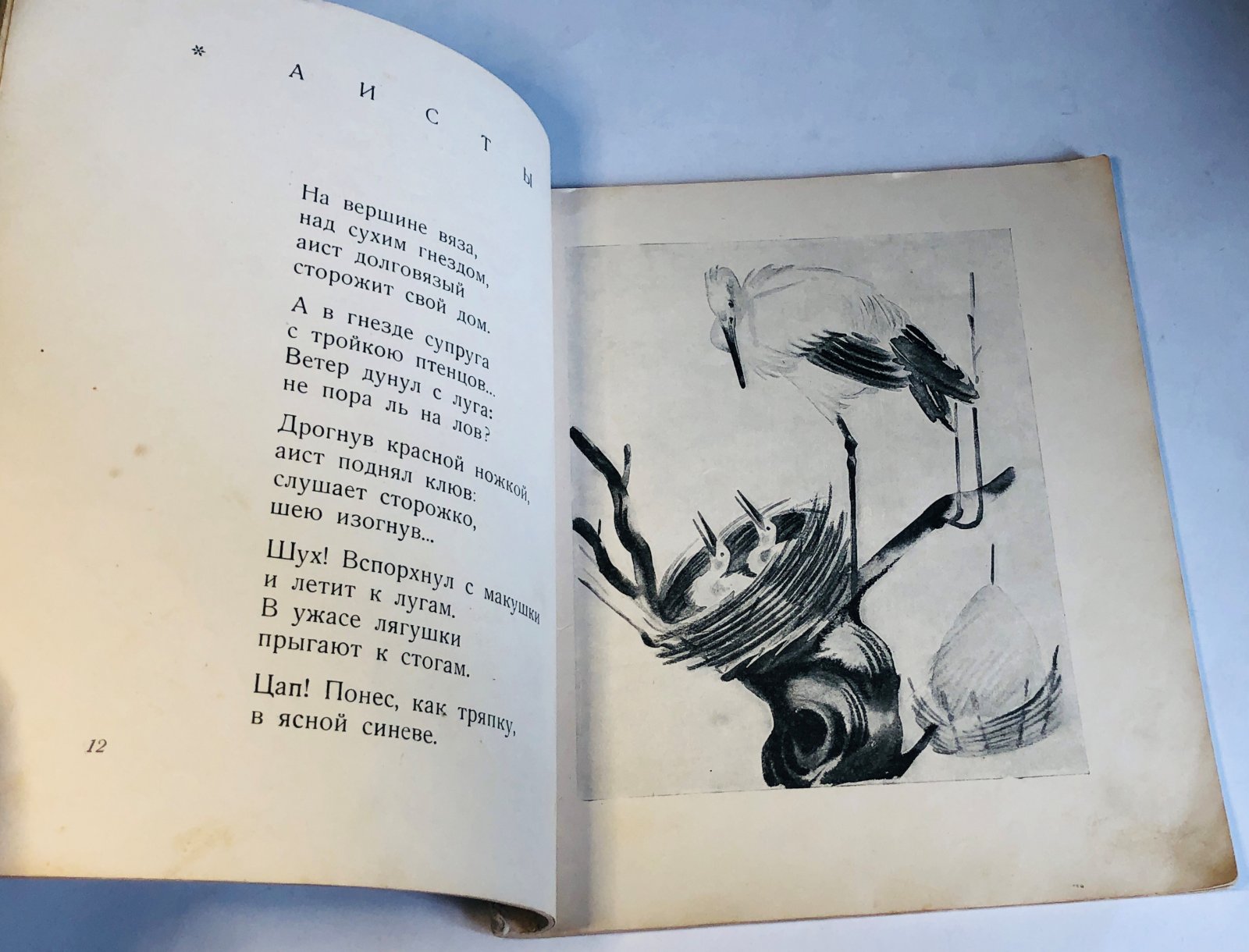 Черный, Саша. Детский остров.