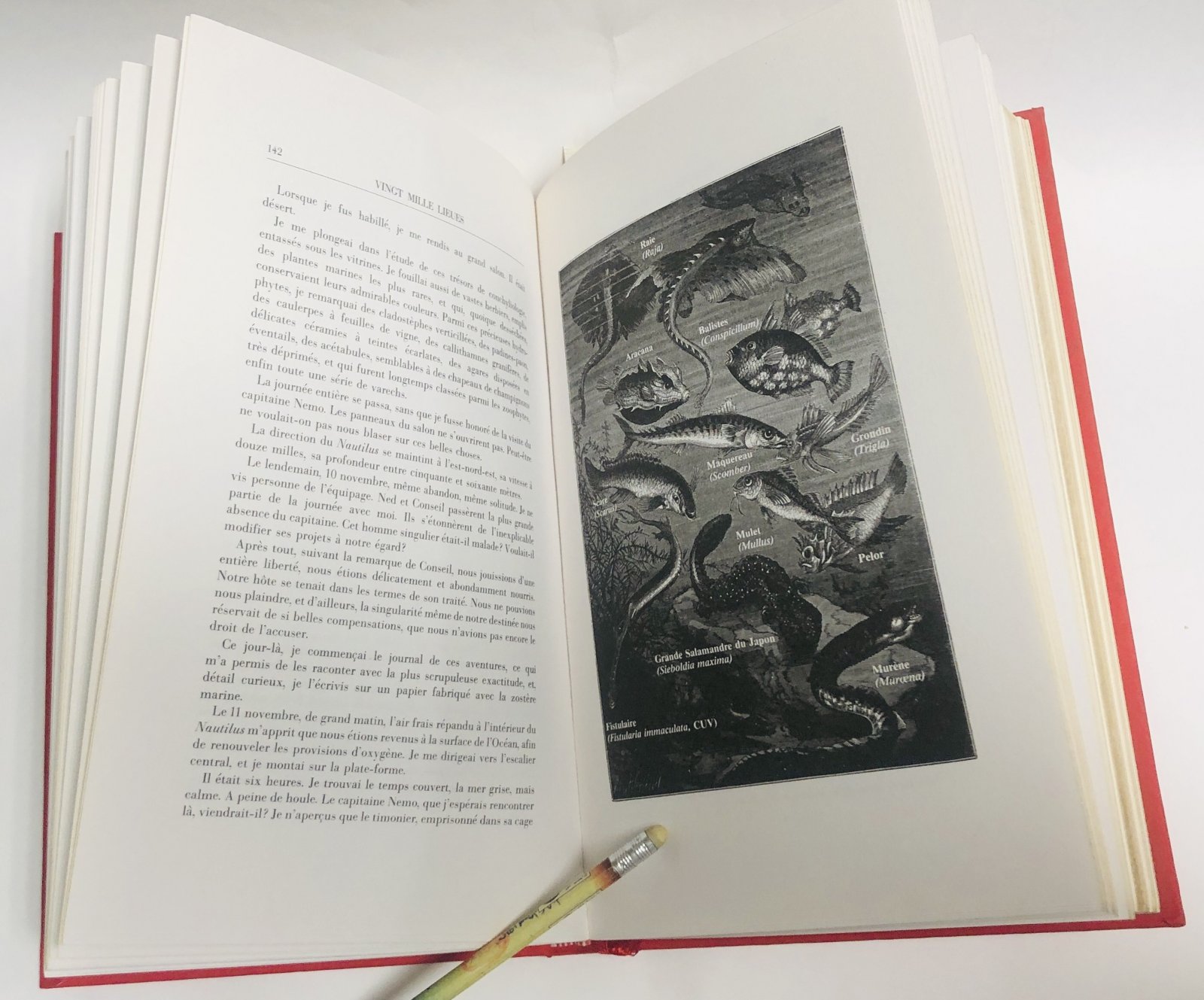 Jules Verne. Жюль Верн Vingt mille lieues sous les mers. 20 тысяч лье под водой. Том 1