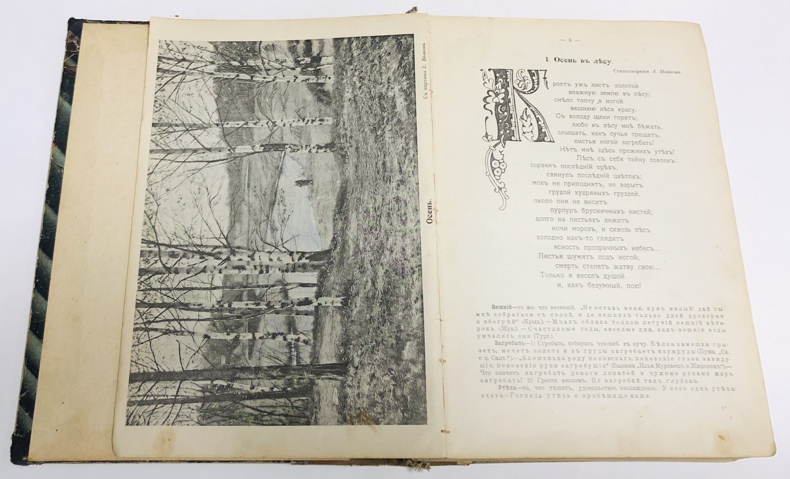 Острогорский А.Я. Живое слово. Книга для изучения родного языка.