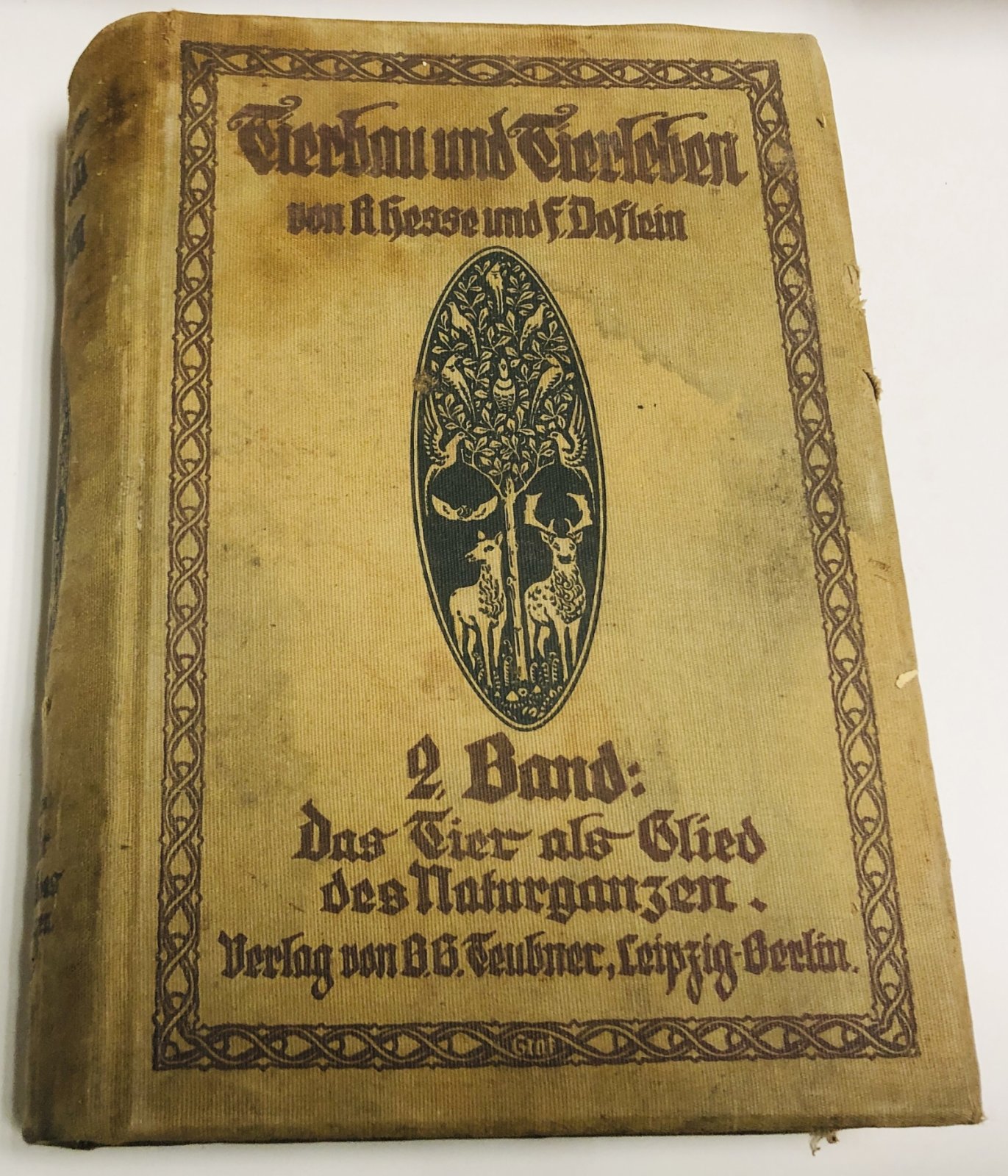 Hesse, Richard, und Franz Doflein. Tierbau und Tierleben in ihrem Zusammenhang betrachtet. II band. Животноводство и животный мир.