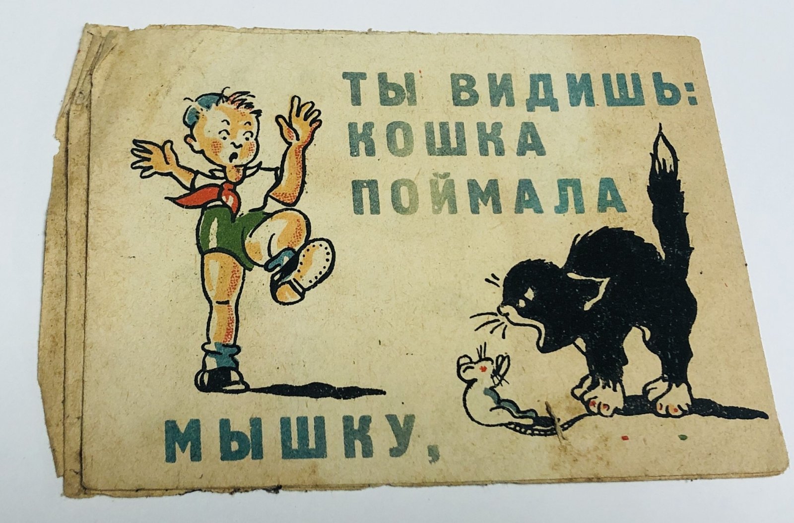 М. Давыдковский Про кошку и мышку. Про мишку и книжку