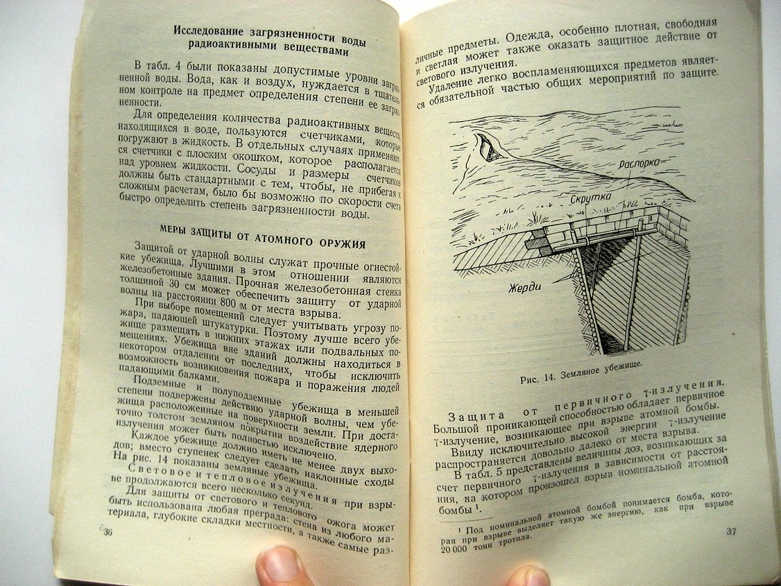 Качур Л., Петров В., Побединский М. и др. Лучевая болезнь. Последствия радиоактивного излучения