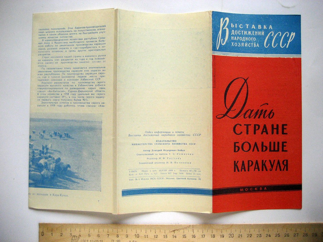 Бойко Д. Дать стране больше каракуля.