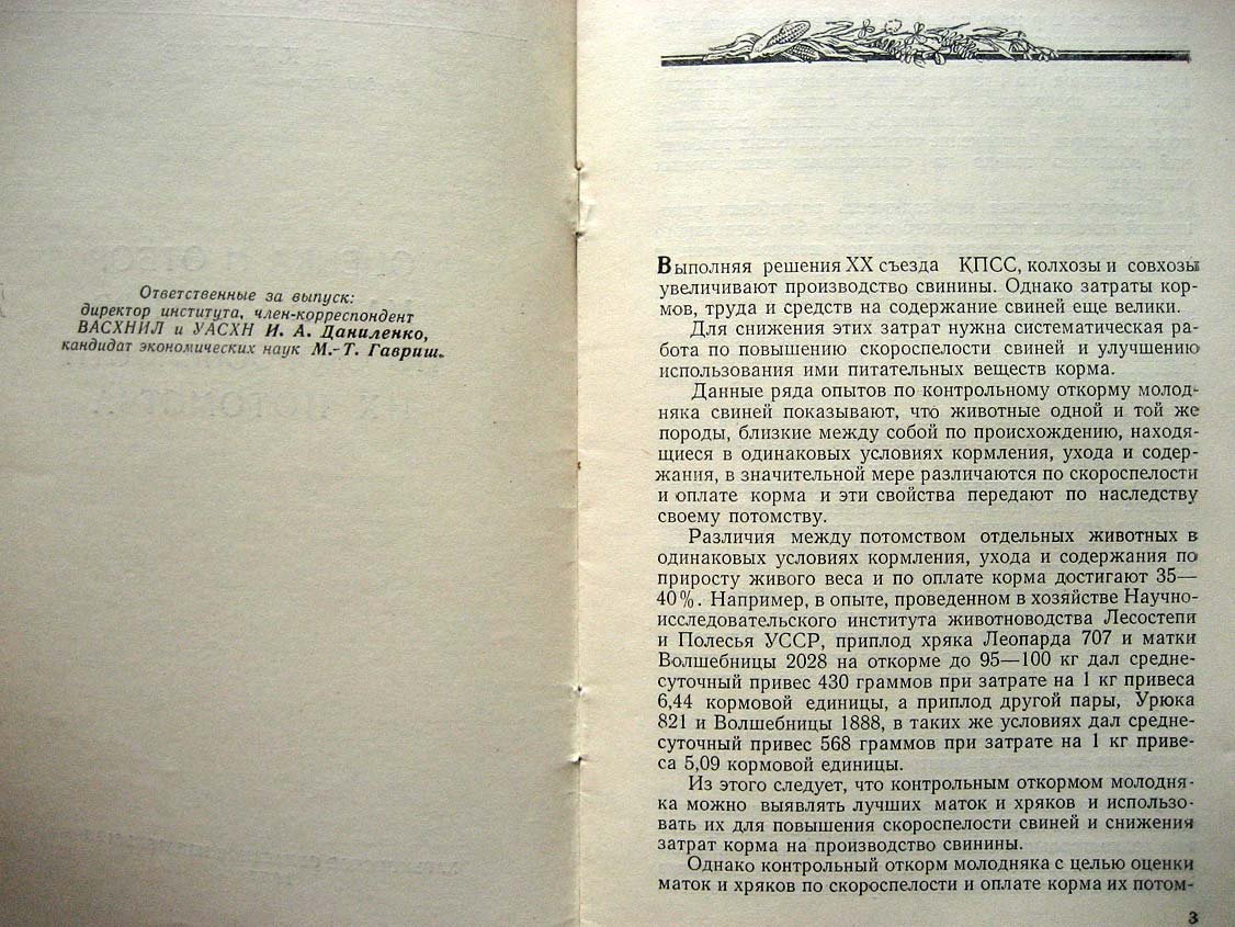 Белогуб Д. Оценка и отбор маток и хряков по скороспелости их потомства.