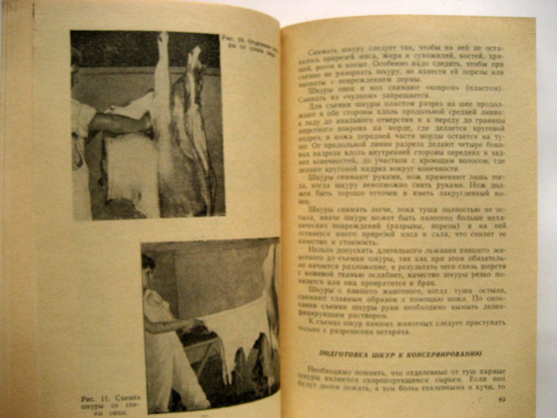 Машков А. Как повысить качество шкур овец и коз.