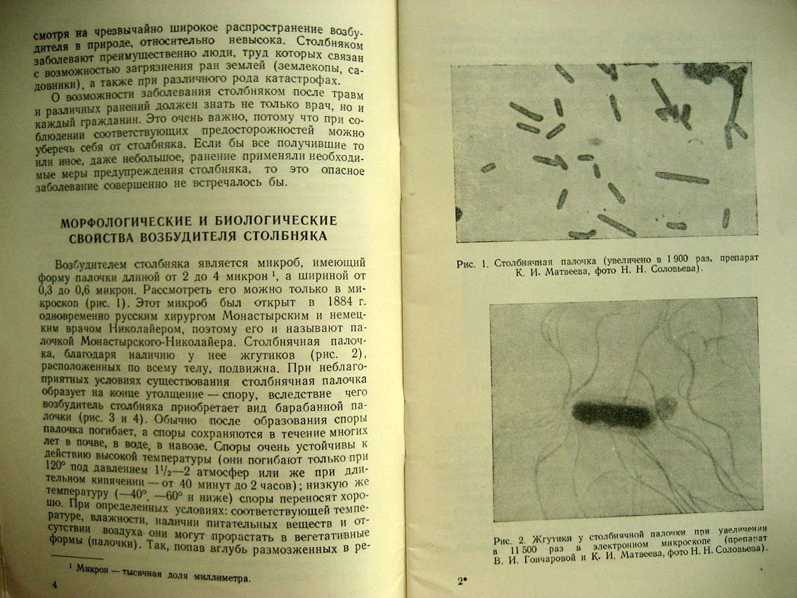 Матвеев К. Столбняк.