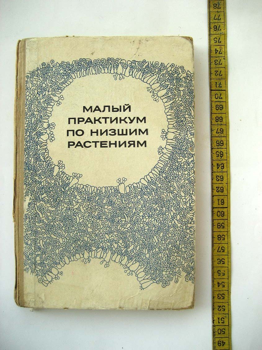 Горбунова Н. Малый практикум по низшим растениям.