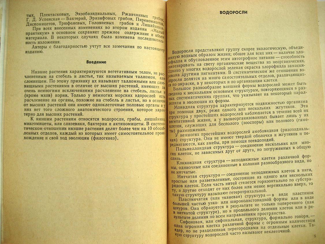 Горбунова Н. Малый практикум по низшим растениям.