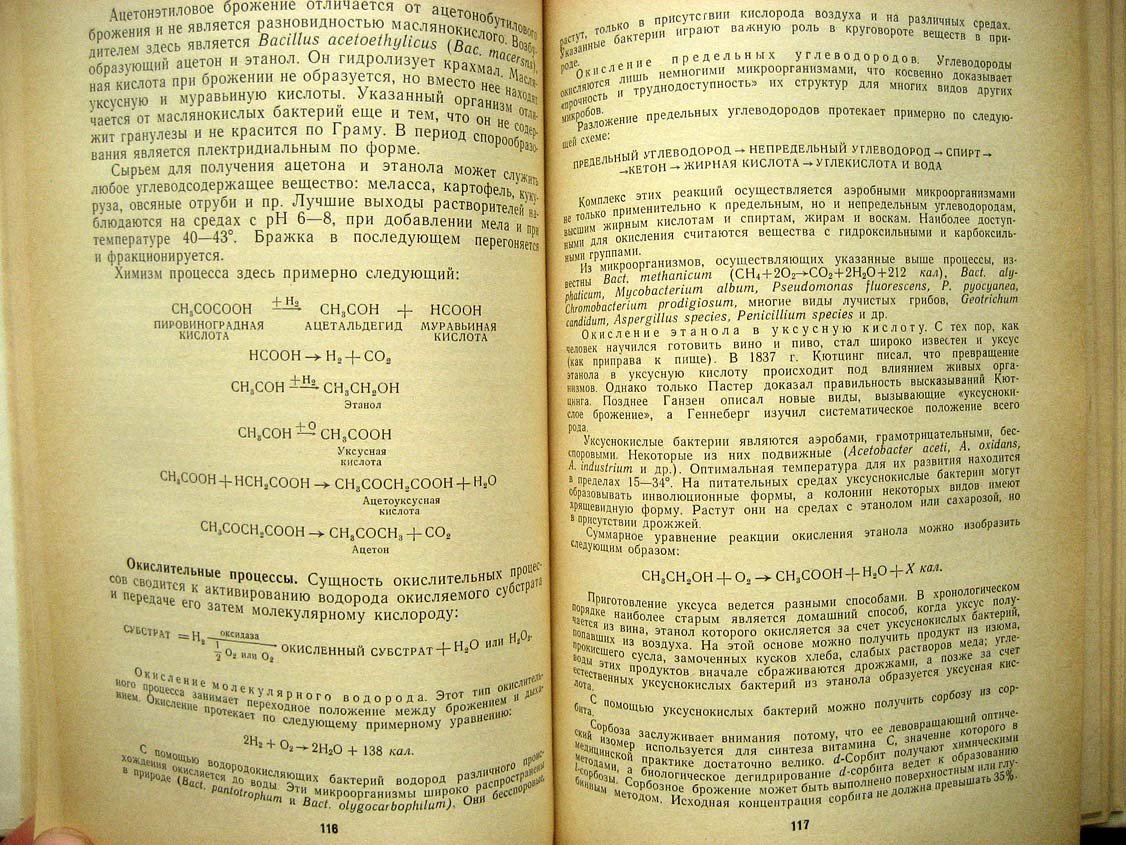 Кашкин П. Микробиология.