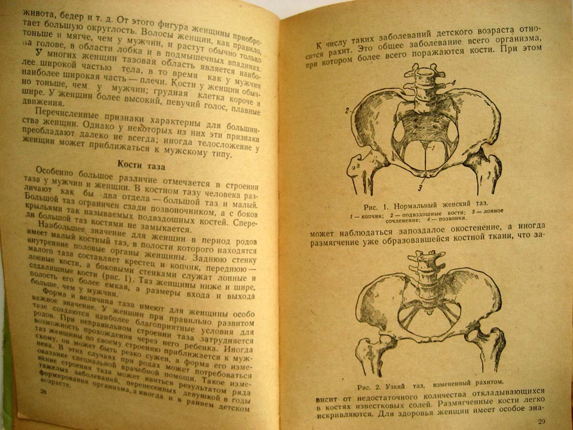 Бартельс А. Курс лекций для беременных женщин.