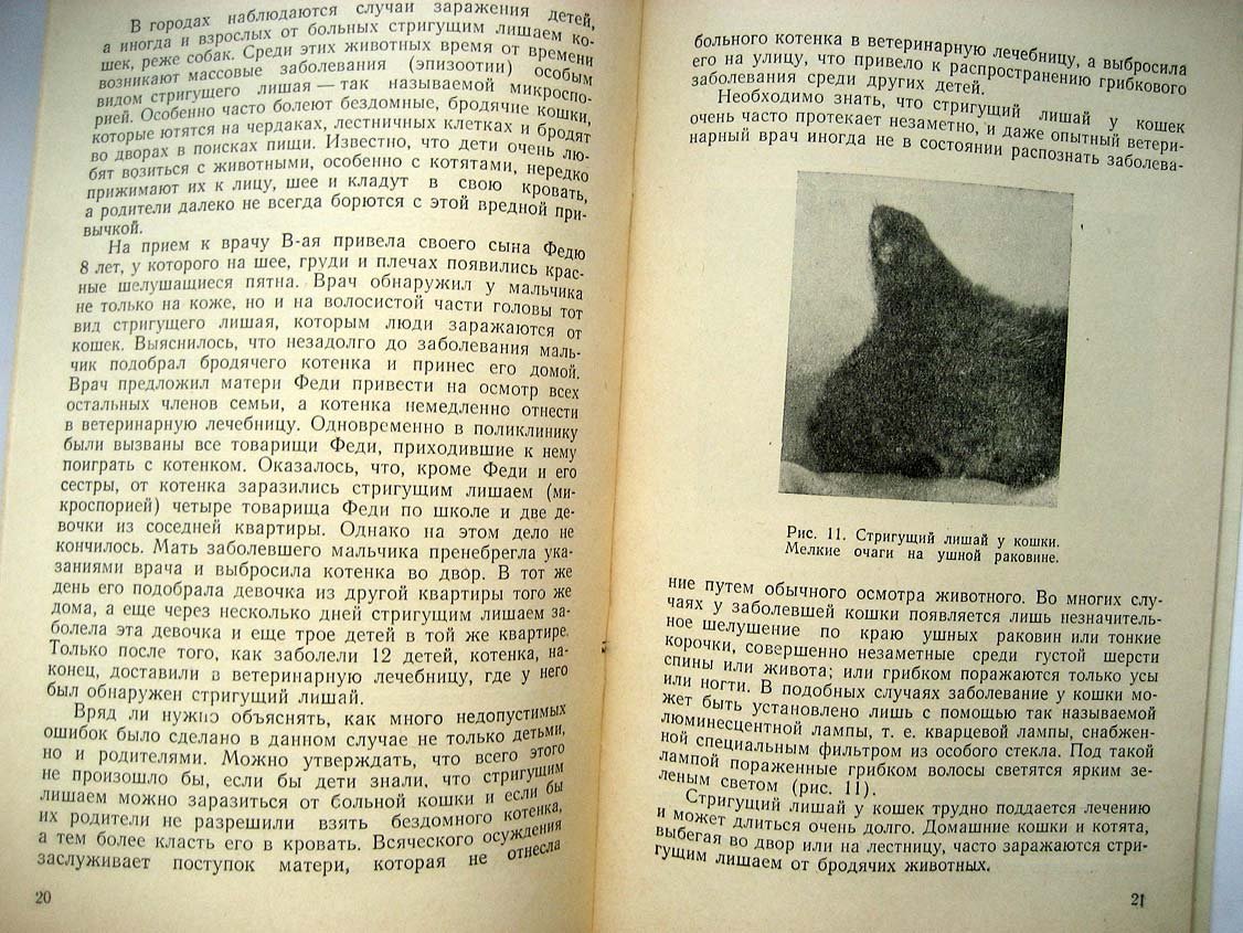 Ариевич А. Стригущий лишай и другие грибковые заболевания кожи.