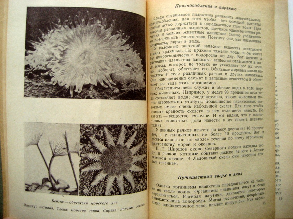 Море. Сборник